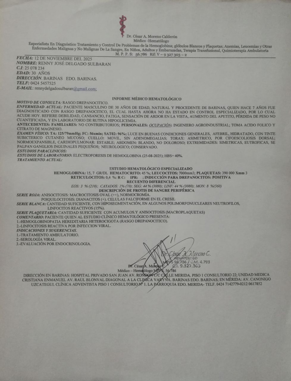 Galería 3